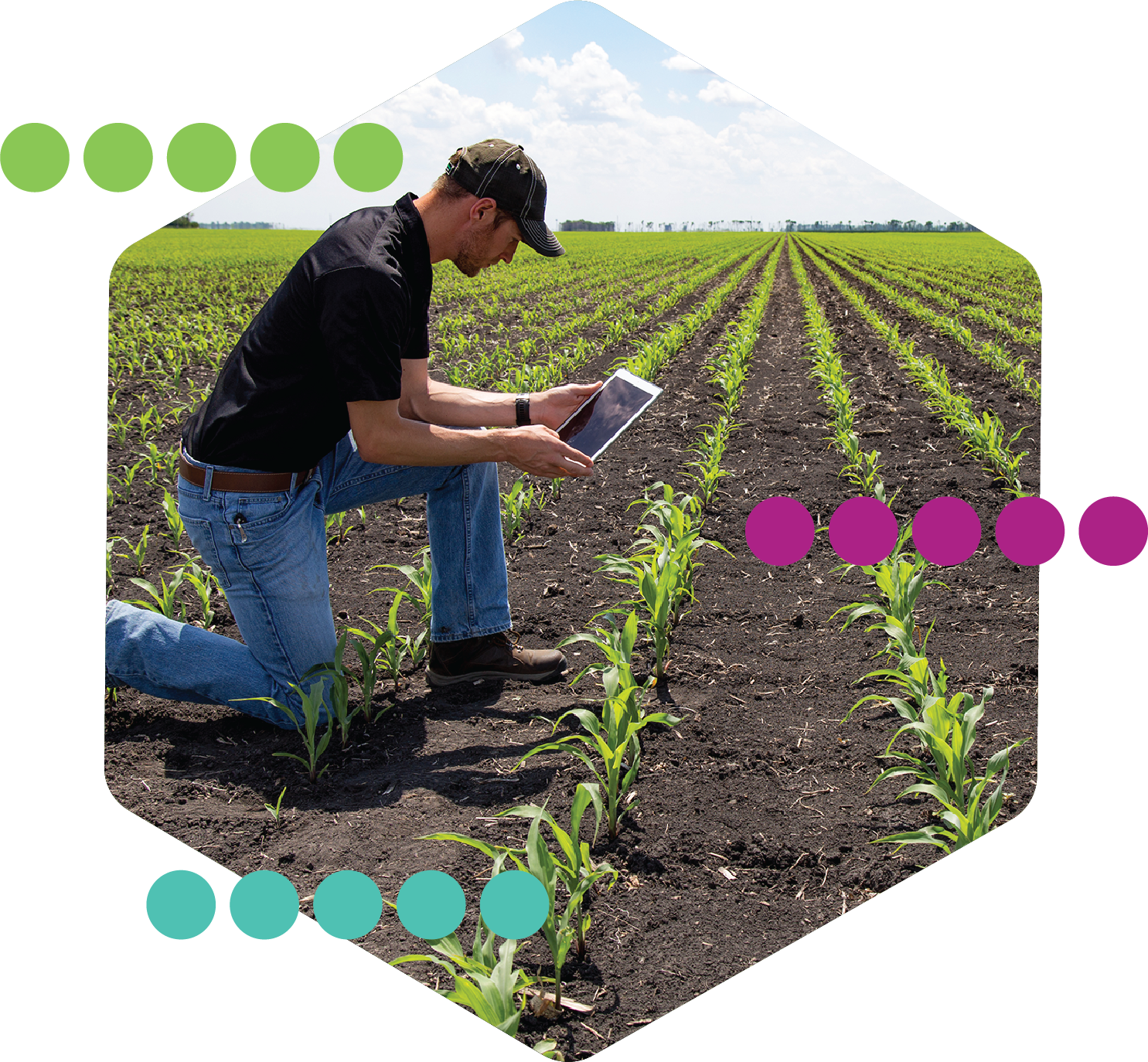 agri-humic-90